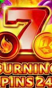 Burning Spins 243